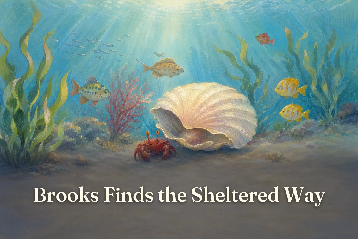 Cover of the children’s story “Brooks Finds the Sheltered Way”